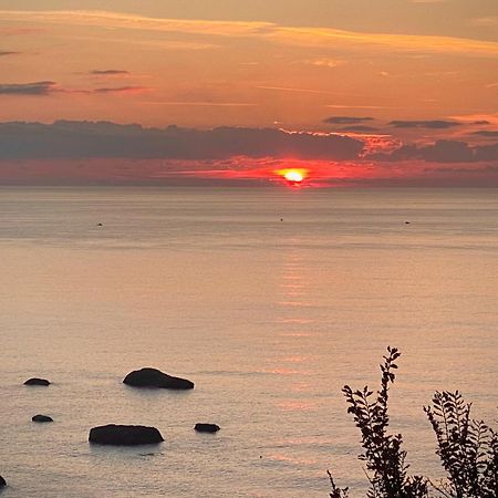 Casa Mimosa Apartman Ischia Kültér fotó